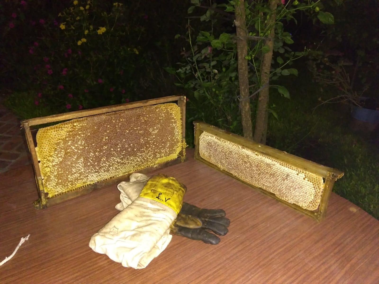 trabajando con las colmenas